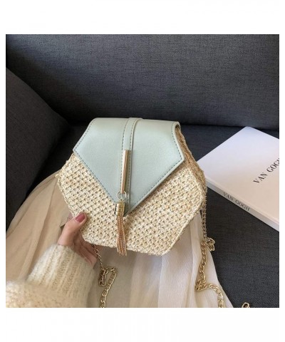 Shoulder Bags Retro Crossbody Tassel Fashion Leather Women Bag Chain Shoulder Weave Bag Bag Bag (White, One Size) Green One S...