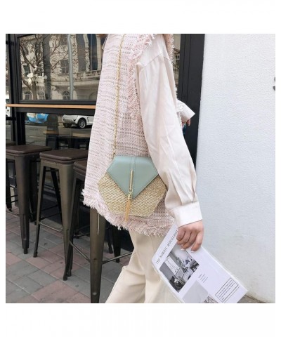 Shoulder Bags Retro Crossbody Tassel Fashion Leather Women Bag Chain Shoulder Weave Bag Bag Bag (White, One Size) Green One S...