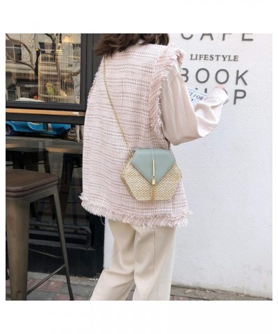 Shoulder Bags Retro Crossbody Tassel Fashion Leather Women Bag Chain Shoulder Weave Bag Bag Bag (White, One Size) Green One S...