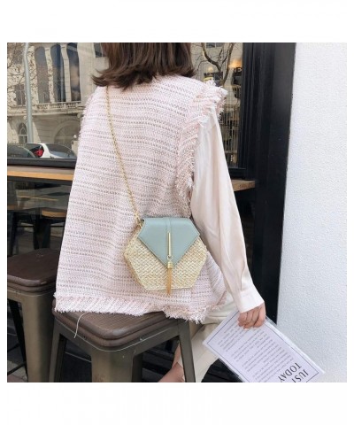 Shoulder Bags Retro Crossbody Tassel Fashion Leather Women Bag Chain Shoulder Weave Bag Bag Bag (White, One Size) Green One S...