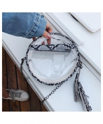 2pcs Cross Body Bag for Women Ladies Hand Bags Shoulder Purses for Women Crossbody Fringed Round Jelly Bag Jelly Summer Bag S...