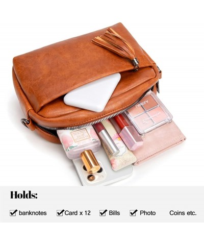 Small Crossbody Bag for Women Vegan Leather Purses Shoulder Bag Stylish Camera Bag with Tassel Handbag Satchel Pink $13.50 Sa...