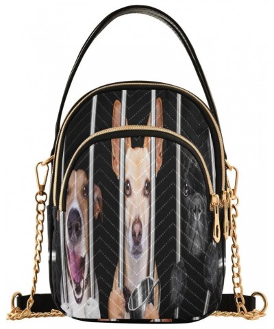 Bulldog Jar Crossbody Bags for Women Quilted Chain Crossbody Purses Trendy Dogs Cross Body Phone Purse Handbag $13.77 Crossbo...