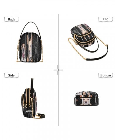 Bulldog Jar Crossbody Bags for Women Quilted Chain Crossbody Purses Trendy Dogs Cross Body Phone Purse Handbag $13.77 Crossbo...