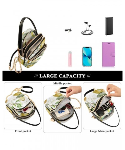 Lemon Crossbody Bag for Women Cell Phone Purse Wallet with Removable Chain Shoulder Handbag for Passport Phone Work Travel $1...