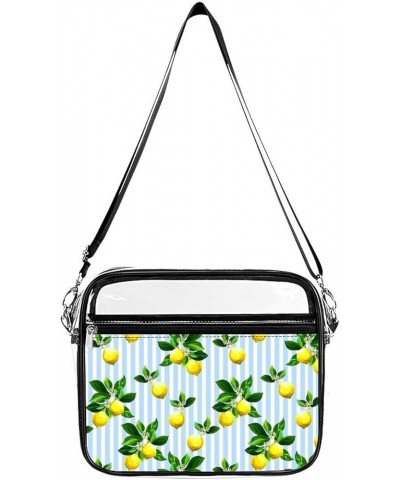 Citrus Pattern on Striped Background Clear Crossbody Shoulder Purse Bag for Men Women, Stadium Clear Messenger Bag Style $12....