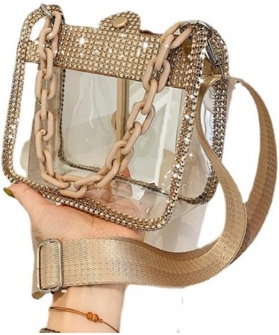 Transparent Crossbody Bags Chain Bag for Women, Fashion Shoulder Bag with Adjustable Strap for Shopping and Traveling Champag...