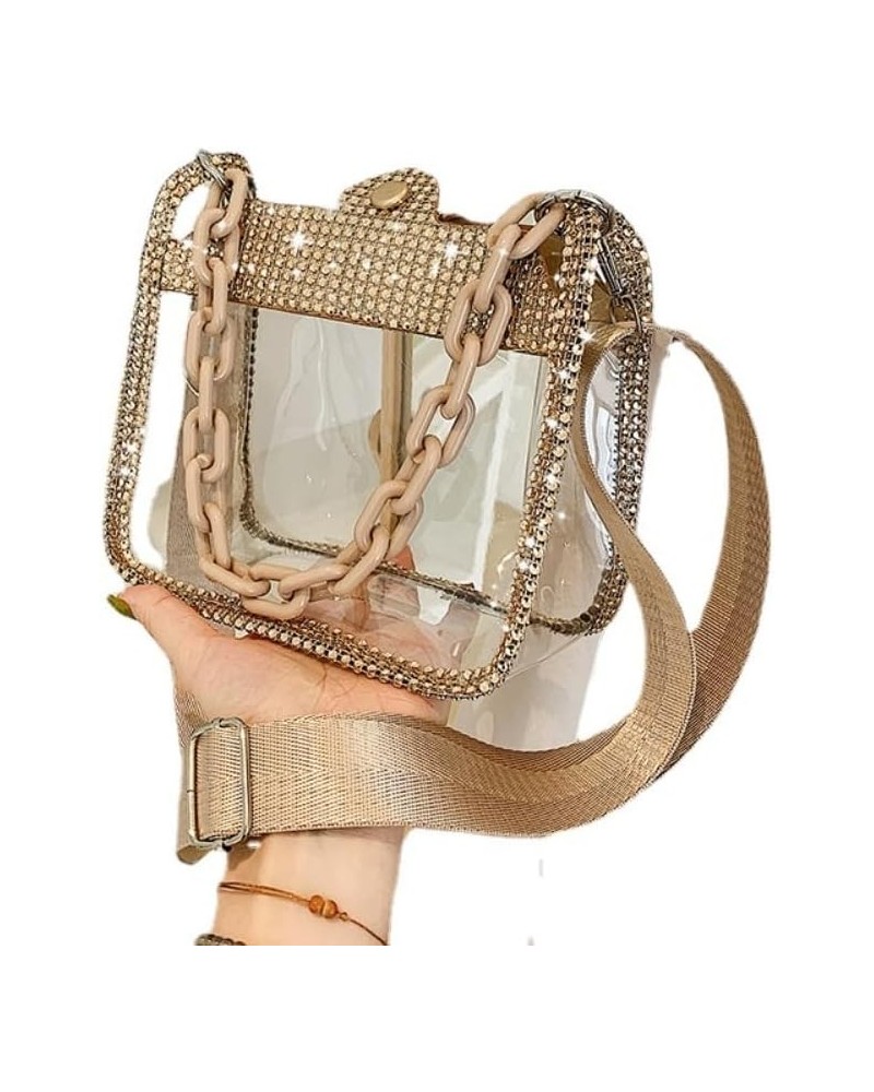 Transparent Crossbody Bags Chain Bag for Women, Fashion Shoulder Bag with Adjustable Strap for Shopping and Traveling Champag...