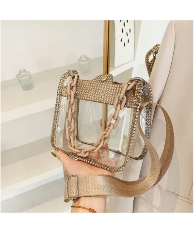 Transparent Crossbody Bags Chain Bag for Women, Fashion Shoulder Bag with Adjustable Strap for Shopping and Traveling Champag...