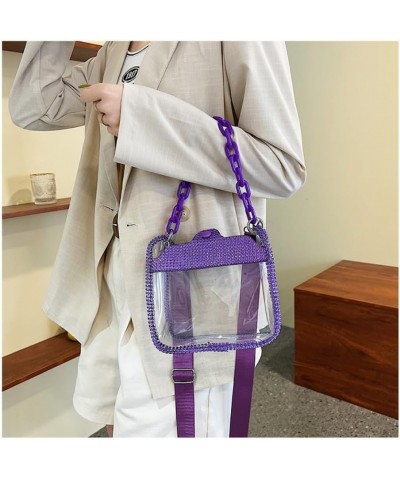 Transparent Crossbody Bags Chain Bag for Women, Fashion Shoulder Bag with Adjustable Strap for Shopping and Traveling Champag...