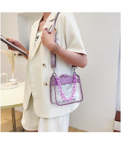 Transparent Crossbody Bags Chain Bag for Women, Fashion Shoulder Bag with Adjustable Strap for Shopping and Traveling Champag...